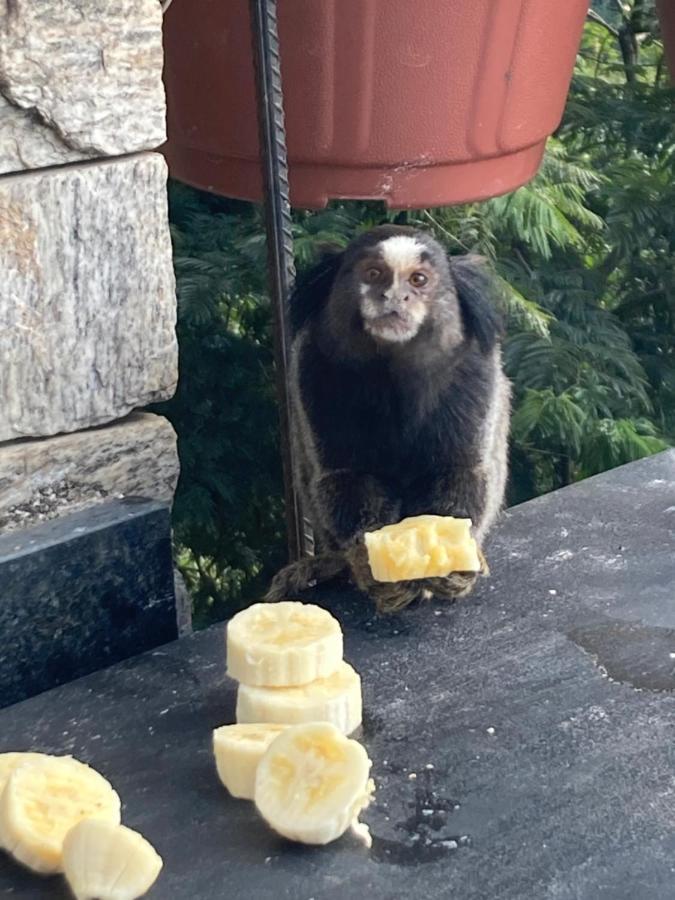 O Chale Mais Bucolico De Araras. Vista Linda Buitenkant foto